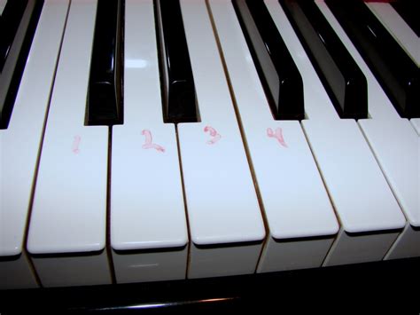 The Power of the Magic Eraser: A Must-Have for Piano Key Maintenance